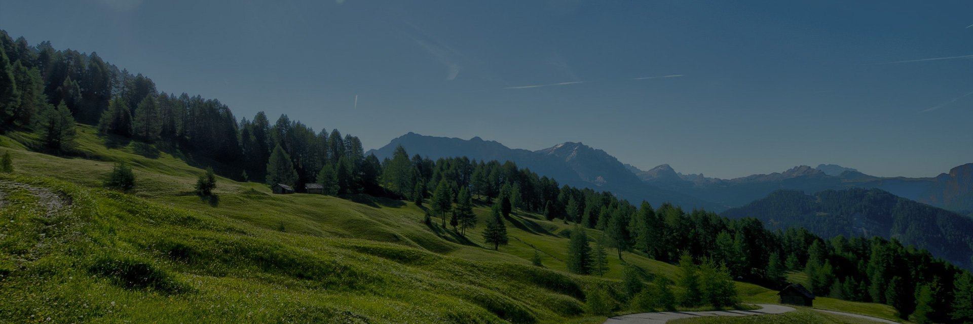 Foire BIO de Meaudre en Vercors  l'événement 2024 de  la BIO