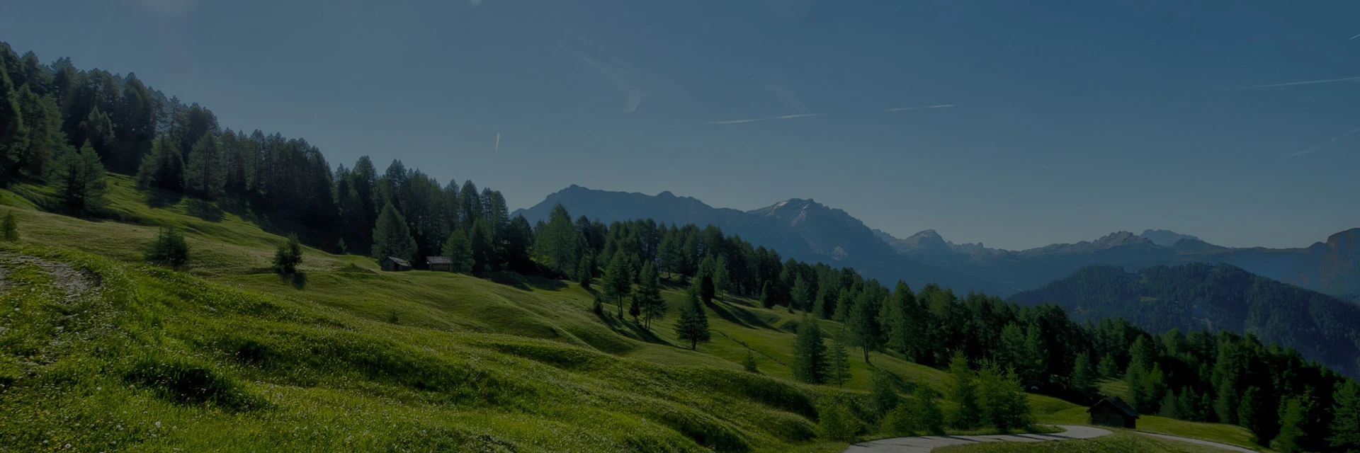 Foire Bio Génépi à Embrun (05) Hautes-Alpes 14 et 15 septembre 2024